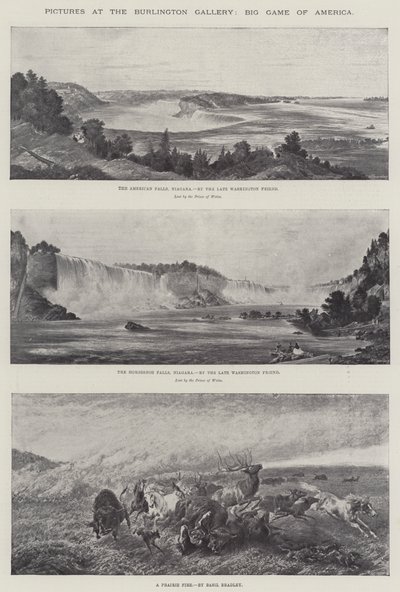 Schilderijen in de Burlington Gallery, Groot Wild van Amerika door Basil Bradley